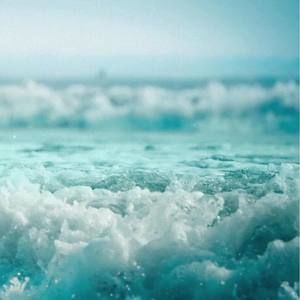 Meet your Posher, Ay-ay